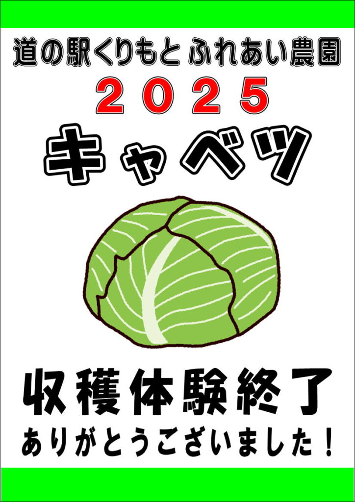 12/24(水)キャベツ収穫体験終了